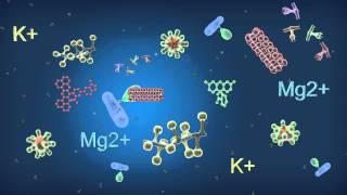 PCR Supermixes: Advanced Enzyme and Buffer Components for Optimal Performance