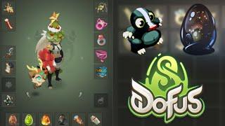 MON NOUVEAU PERSO KOLIZEUM SUR DOFUS 3 !