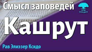 Смысл некоторых заповедей. Кашрут. Рав Элиезер Ксидо