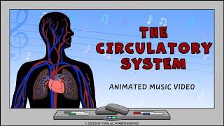 The Circulatory System | How The Heart Works | Animated Music Video |