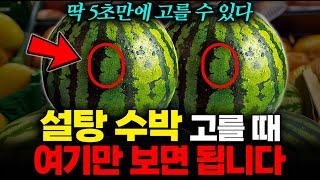 "두드릴 필요 없습니다" 설탕수박 고를 때 '이것'만 확인하세요. 세균없이 보관하는 법! | 신영일MC |  이경실 소장, 장홍제 교수