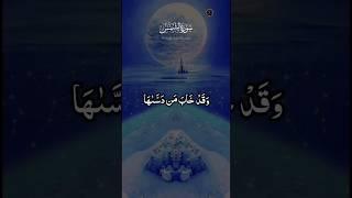 Surah Ash Shams Repeat Full Word by Word Quran Tilawat | Bakht Wali #shorts #quranrecitation