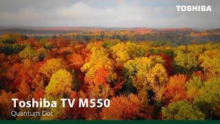 Toshiba M550 - A Spectrum of Vivid Brilliance