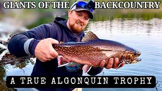 3 GIANT BROOK TROUT From SHORE - Backcountry Canoe Trip