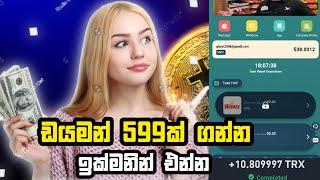 ඩයමන් 599ක් නොමිලේ | e money new platform full review sinhala 2024 | online earning