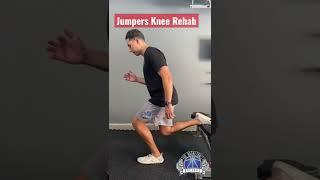 Jumpers Knee Rehab: Slow Strengthening