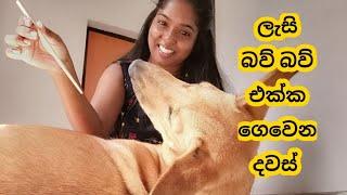 A Simple Day In My Life Srilanka |Day Vlogs Sinhala #adayinmylife