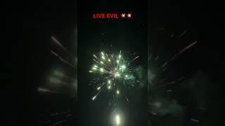 LIVE EVIL 49 shot Firework Cake  hella nice HITTER 