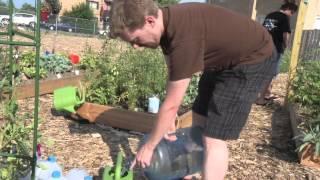 The Peterson Garden Project