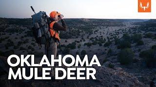 Oklahoma Mule Deer with MeatEater's Ryan Callaghan