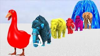 Paint Animals Elephants and Mammoths Size Comparison Fountain Crossing Animal Transformation Cartoon