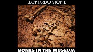 Leonardo Stone "Bones In The Museum"