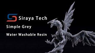 Siraya Tech Water washable resin - Simple Grey Display