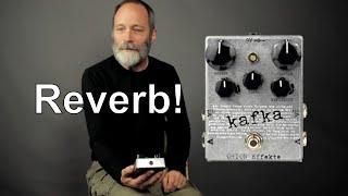 WILD and WONDERFUL Reverb! | Orion Effekte Kafka Demo