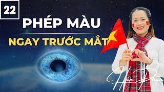#22 Phép màu ngay trước mắt | Thực hành 28 ngày lòng biết ơn