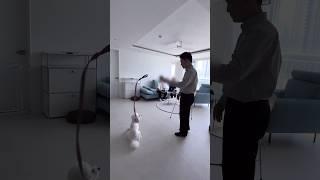 900만 바디블로킹 강아지 훈육 모음(상반기)