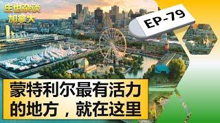 蒙特利尔的老旧政法区，竟然成了年轻人拍婚纱的首选之地！【庄也杂谈加拿大79】