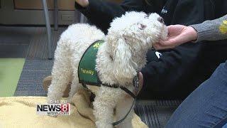 Fenway comforts during stressful UNH finals