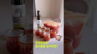 / 항암토마토 흡수율 높이기 / 토마토 이렇게 드세요! / 보약 토마토