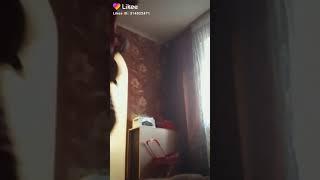 Амелия