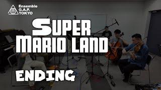 スーパーマリオランド / SUPER MARIO LAND　ENDING