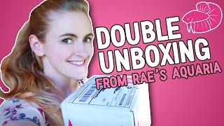 TWO Unboxings from Rae's Aquaria! Goodies and Creatures