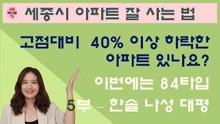 저렴한 세종시 아파트 매물찾기 - 35~40% 하락한 84타입 매물 5부 - 한솔동 나성동 대평동