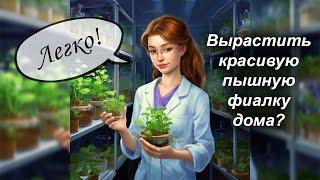 Рассаживаю деток фиалки | Полный обзор этапов выращивания