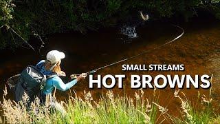 Small Streams & Gorgeous, Big Brown Trout Fly Fishing