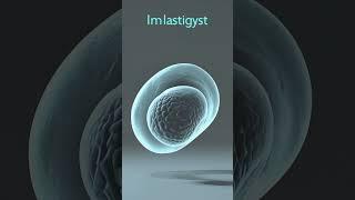 Zygote – The First Cell of Human Life #3danimation #anatomy #medicalanimation #aihealth