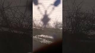 12 грудня 2024 р.