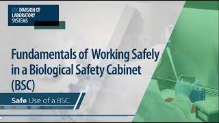 Fundamentals of Working Safely in a Biological Safety Cabinet (BSC): Safe Use of a BSC