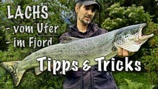 Lachs im Fjord vom Ufer - Tipps & Tricks!