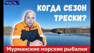 Когда сезон трески? Ответ на вопрос подписчика. Мурманские морские рыбалки. Рыбалка на треску.