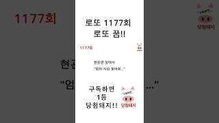 로또 1177회 로또 꿈!! #shorts