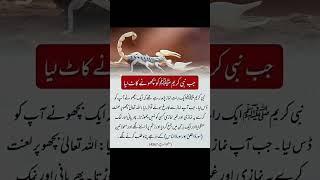 jub Nabi pakﷺ ko bichoo ne kat liya|| #hadees  #shorts #islam #allah #new #shortsfeed #yt #trending