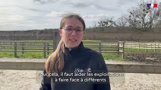EUnetHorse - Foire aux questions 1