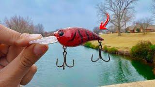 Bass CRUSH This Color in Spring – FISH EVERY CAST!