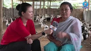 Agriculture Programme (Loubuk Maikei Panglashi) | Livestock Rearing on Duckery at Kangla Siphai