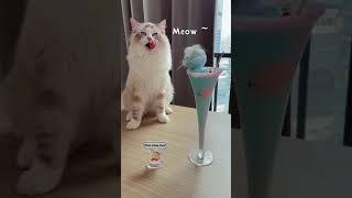 Blue Drink for the Blue Night | That little Puff (April 15)