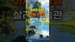 60세 이후 하체 근육을 살리는 습관 3가지  #좋은글 #건강정보 #지혜