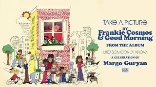 Frankie Cosmos & Good Morning - Take a Picture (Official Audio)