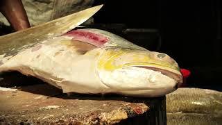 Big Indian Sea Fish Cutting Skills Live in Fish Market | Fish Cutting Skills