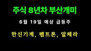[6/19] 주식 8년차 부산개미가 보는 예상급등주 [한신기계,펨트론,알체라]