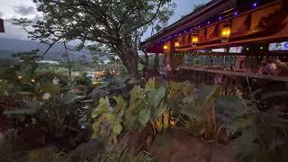 AMAZING HOTEL | LOBBY AND BAR | HANALEI BAY RESORT KAUAI, HAWAII