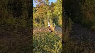 More practice. #discgolf #discgolfeveryday #growthesport #discgolfnation