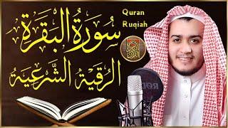 سورة البقرة القارئ علاء عقل - تلاوة خاشعة - Surah Al Baqarah Alaa Akl @murottal-alquran-1