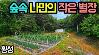 E924 피톤치드 소나무숲 독립적인 남향의 토지와 농막/고정가 1억 1천/지하수, 화목난로/갑천면소재지 약 6분/새말IC, 횡성 ktx역사, IC  약 22~23분/급매/매매