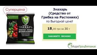 Купить Знахарь. Средство от Грибка на Растениях и Деревьях