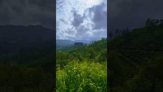 "Just arrived at Ella Station after an unforgettable train ride  #ytshorts #travel #nature